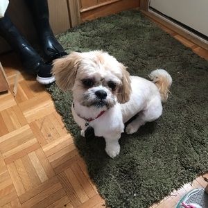 Meet your Posher, Emily